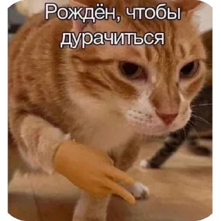 Telegram sticker 🫥 Мемы