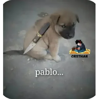 Video sticker 👍 Ttemenda obra maestras 20 sobre 10 y god..........