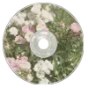 Video sticker 🙍 soul２００７@k...