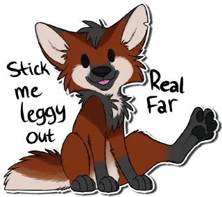 Video sticker 🦵 Fenimore