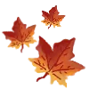 Video sticker 🍁 Русую эмо�...