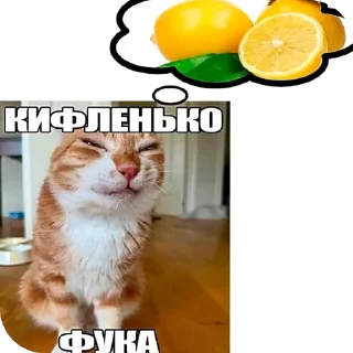 Telegram sticker 🐱 memaseke
