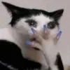 Video sticker 😿 خلودي @F44II ...