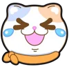 Video sticker 🥰 一起喵喵喵�...