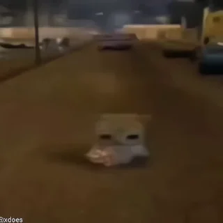 Video sticker 🌟 @DARK_STICK