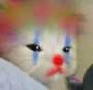 Video sticker ⭐️ TikTok shit (Kian's Pack)