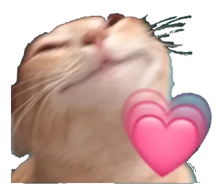 Telegram sticker 💗 EdMishis