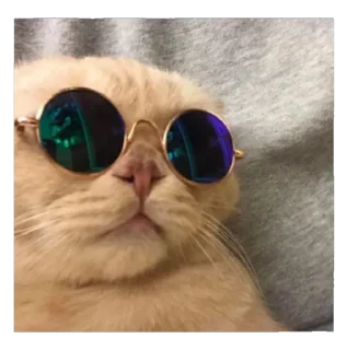 Telegram sticker 😎 EdMishis