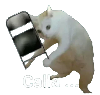 Telegram sticker 👊 EdMishis