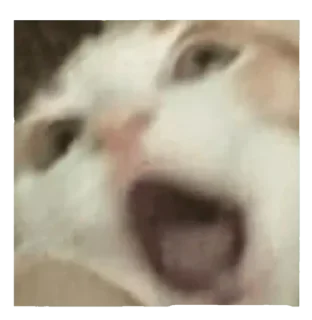 Telegram sticker 😱 EdMishis