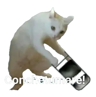 Telegram sticker 👊 EdMishis