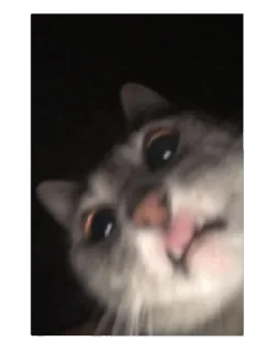 Sticker 😛 EdMishis