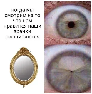 Telegram stiker 😭 Больше стиков тут: @stikery4