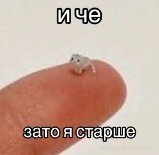 Telegram stiker 😠 Больше стиков тут: @stikery4