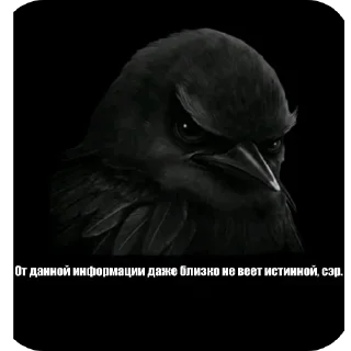 Telegram sticker 👍 Настя из шгш ➡️ @Ctikerubot