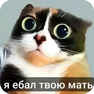 Sticker 🤩 Кукi из Тихого Омута [@TihiyOmat]