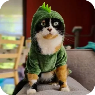 Телеграм стикер 👍 Кукi из Тихого Омута [@TihiyOmat]