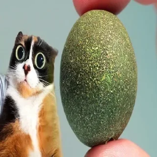 Video sticker 🤓 Кукi из Тихого Омута [@TihiyOmat]