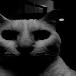 Telegram sticker 🤔 Autism pack