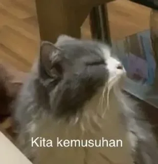Telegram sticker 🌟 punya @sunshnexz :: @fStikBot