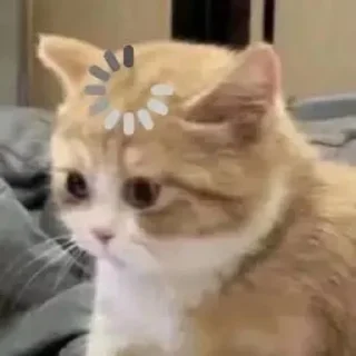 Telegram sticker 🌟 punya @sunshnexz :: @fStikBot