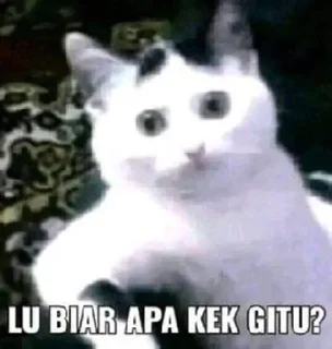 Telegram sticker 🌟 punya @sunshnexz :: @fStikBot
