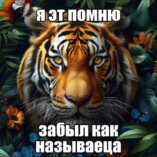 Video sticker 🙁 Больше стиков тут: @stikery4