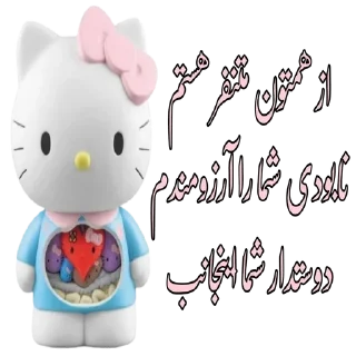 Video sticker 🌟 @DegradeMeIntoPieces  ناراگوه