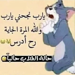 Telegram sticker 🙏 MeM