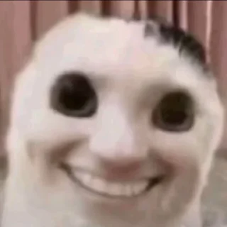 Telegram sticker 😟 MeM