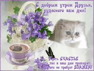 Video sticker ☀️ ❁❁❁ @LuckyStarnwn @TgEmodziBot