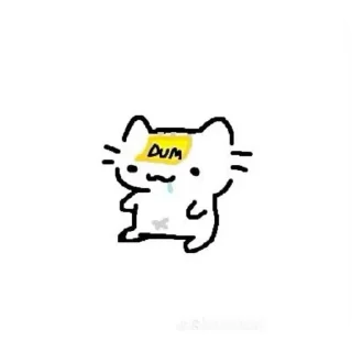 Telegram sticker 👍 Baby cat uwu