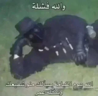 Telegram sticker ❗ @R4442 الله يخلق وانا ابتلي