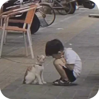 Телеграм стикер 🐶 @chillzonereal 's masti pack