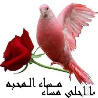 Telegram sticker 🌹 116