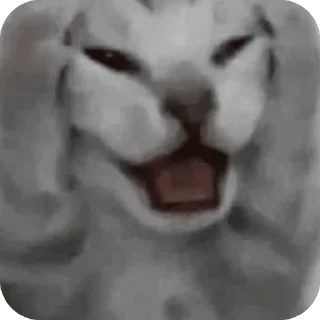 Telegram sticker 🇩🇪 116