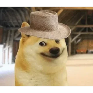 Telegram sticker 👍 🔥‼️DOGE 🐕 PACK ‼️🔥.