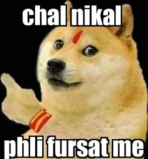 Telegram sticker 😡 🔥‼️DOGE 🐕 PACK ‼️🔥.