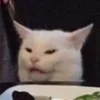 Video sticker 🙄 Cat Meme