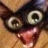 Sticker 🌚 Cat Meme