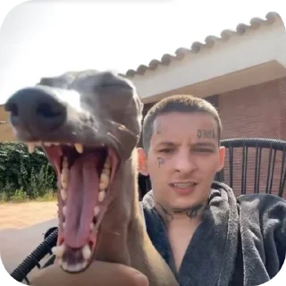 Telegram stiker 👖 Больше стиков тут: @stikery4