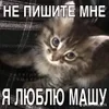 Video sticker 🌟 kinn2me :: @fStikBot