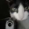 Video sticker 😶 kinn2me :: @fStikBot