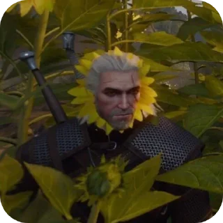 Video sticker 🌸 пизду мне почеши :: @fStikBot