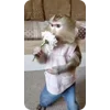 Video sticker 🌼 Shishi @TgEmojis_bot