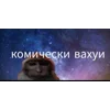 Video sticker 🌠 Shishi @TgEmojis_bot