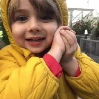 Video sticker 🌹 شوء 🤏🏻 𝐁𝐘 : @aljoker_z_e