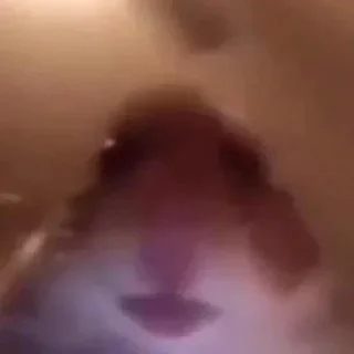 Телеграм стикер 🙄 شوء 🤏🏻 𝐁𝐘 : @aljoker_z_e