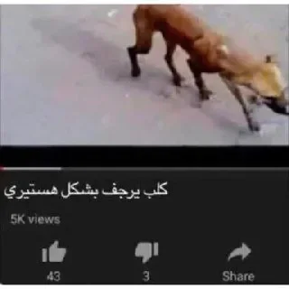 Sticker 🐶 شوء 🤏🏻 𝐁𝐘 : @aljoker_z_e