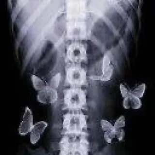 Телеграм стикер 🤏 شوء 🤏🏻 𝐁𝐘 : @aljoker_z_e